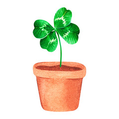 Four-leaf clover in pot. St. Patrick's Day. Watercolor illustration. Isolated on a white background.
