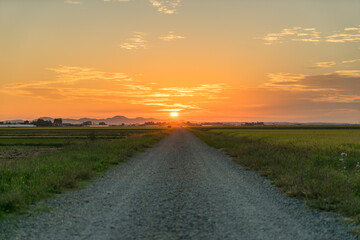 田舎道と夕焼け