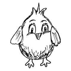 Portrait of a cute little nestling. Black and white vector rough sketch isolated on transparent background