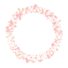 Transparent Cherry Petal Vector White Background.