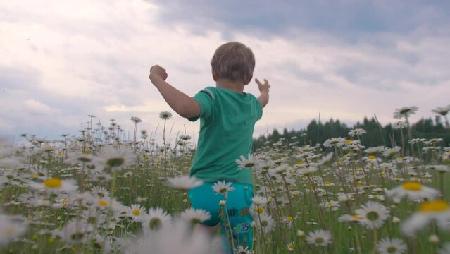 A boy running through a field with daisies. Creative. A small child with long brown hair runs through a field with white small flowers in front of tall trees in front of a blue cloudy sky.