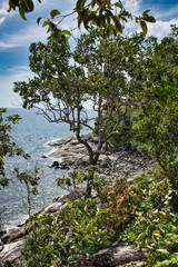 Seascape view of the beautiful Andaman sea around Koh Lipe island