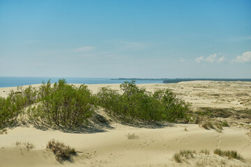 Sand dunes of the russian part Curonian Spit. Kaliningrad region, Russia