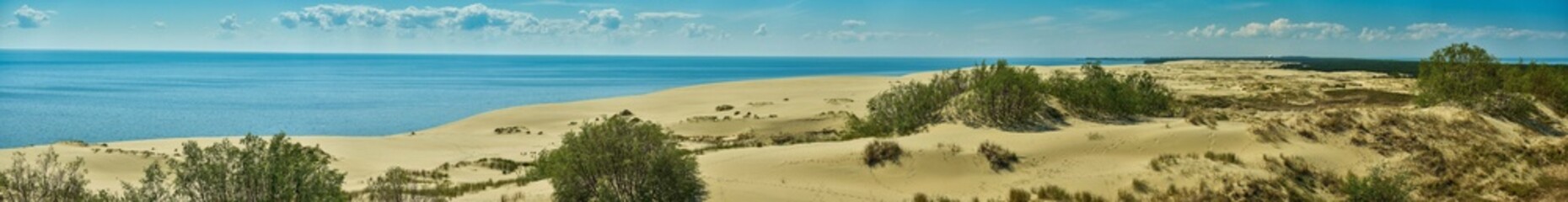 Sand dunes of the russian part Curonian Spit. Kaliningrad region, Russia. Panorama.