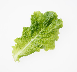 サンチェ　　焼肉レタス