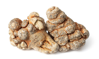Dried herb, notoginseng roots isolated on white background
