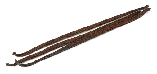 Dried vanilla pods isolated on the white background.