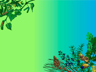 bright background of flowers close-up for postcards paper fabrics