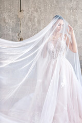 bride in wedding dress with veil white tenderness