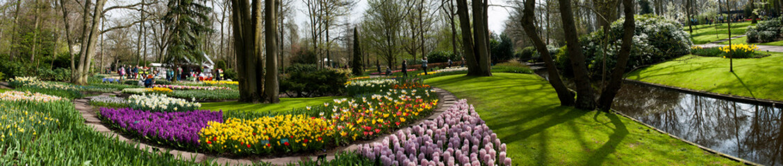Flowering bulbs at the height of spring at Keukenhof botanical garden in Lisse, Netherlands. 