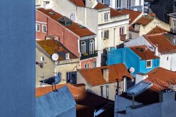 Fototapeta na wymiar Alfama Lisboa colored portuguese houses rooftop. Lisbon, Portugal