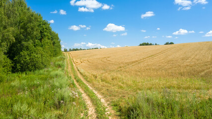 Fototapeta na wymiar Country roads through farm fields in the countryside