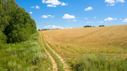 Fototapeta na wymiar Country roads through farm fields in the countryside