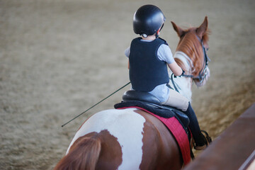 horse and rider. Child riding horse back. Equestrian sport. Dressage. Animals and children. Farm 