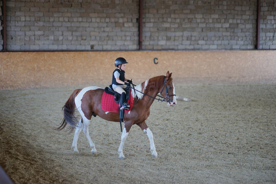 horse and rider. Child riding horse back. Equestrian sport. Dressage. Through cavaletti. 