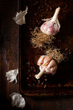 Garlic Bulbs with Roots