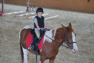 horse and rider. Child riding horse back. Equestrian sport. Dressage. Animals and children 