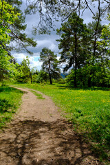 Abend über dem Naturschutzgebiet Grainberg-Kalbenstein am Main bei Karlstadt, Landkreis Main-Spessart, Unterfranken, Bayern, Deutschland