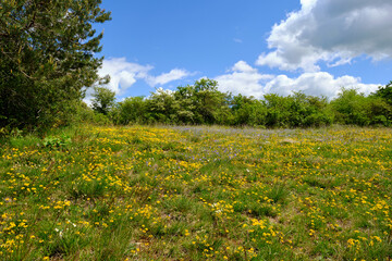 Abend über dem Naturschutzgebiet Grainberg-Kalbenstein am Main bei Karlstadt, Landkreis Main-Spessart, Unterfranken, Bayern, Deutschland