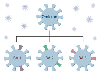 Omicron variant and its subtypes  BA.1, BA.2 and BA.3. Omicron genetic family tree. Covid-19 virus icons with names. Small viruses with the greek letters alpha, beta, gamma, delta flying around.