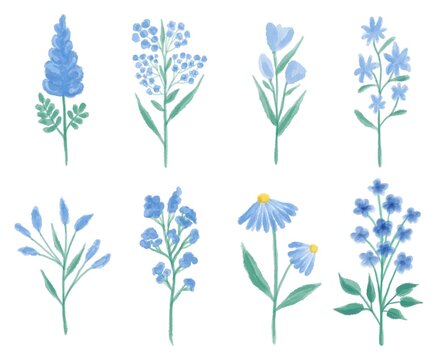 Watercolor set of various blue meadow Flowers. Botanical hand drawing illustration isolated on white background. Floral composition for wedding or greeting card.