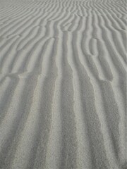 drawing of dunes on the beach sand