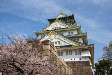 桜の花と大阪城