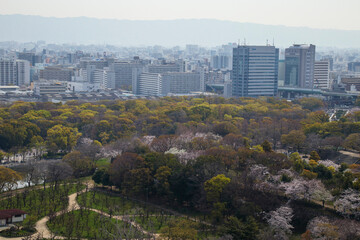 Obraz premium 桜の咲く大阪城公園と大阪の街並み