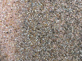 shells background