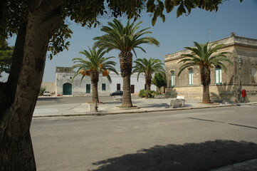 Fototapeta na wymiar Acaia, Lecce. Veduta di case del centro con palme