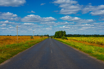 Fototapeta na wymiar A landscape with an asphalt road leading to the horizon.