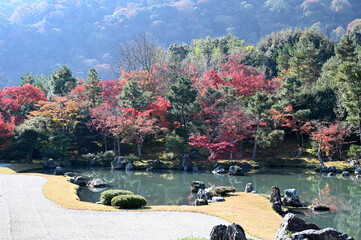 京都大本山天龍寺の紅葉し始めた日本庭園の風景