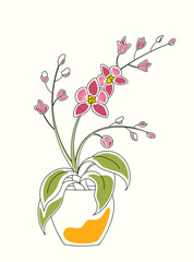 Line art watercolor illustration of orchid in pot with flowers and blossoms