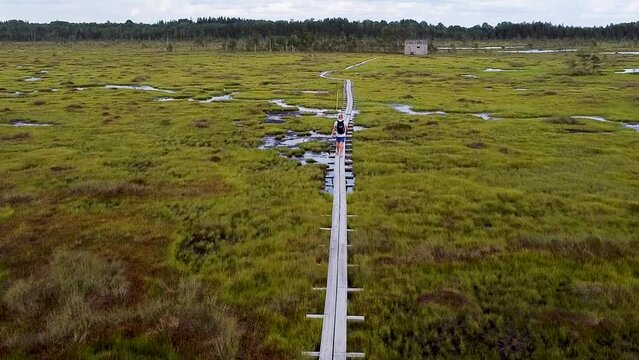 Forward moving aerial following a man walking on a wooden boardwalk path in Nigula bog in Estonia