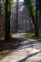 Winding rural gravel road in the woods with focus on background near the airport on a sunny winter day. Photo taken January 26th, 2022, Zurich, Switzerland.