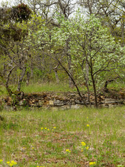 Landschaft im Naturschutzgebiet M&auml;usberg bei Karlstadt, Landkreis Main-Spessart, Unterfranken, Bayern, Deutschland