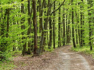 Landschaft im Naturschutzgebiet Mäusberg bei Karlstadt, Landkreis Main-Spessart, Unterfranken,...