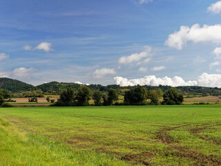 Obraz premium Blick vom Naturschutzgebiet Mainaue bei Augsfeld zum Naturschutzgebiet Hohe Wann, Stadt Haßfurt, Landkreis Hassberge, Unterfranken, Franken, Bayern, Deutschland