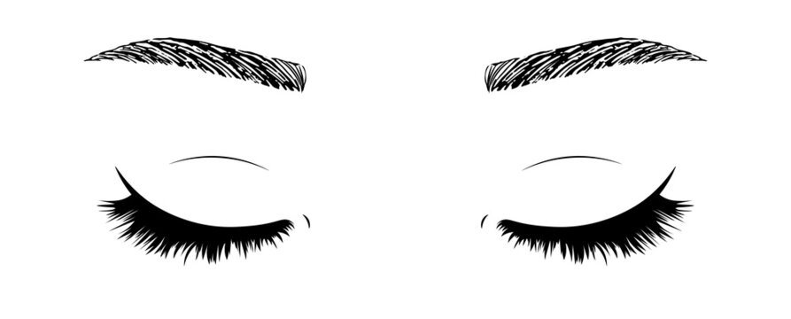 Hand drawn woman's sexy makeup look with perfectly shaped eyebrows and lashes. Vector illustration for business visit card, typograph, print. Perfect salon look. Woman with close eyes.