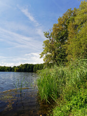Sander Baggerseen im Naturschutzgebiet Mainaue bei Augsfeld, Landkreis Hassberge, Unterfranken,...