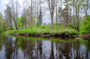 Fototapeta na wymiar lake in the forest