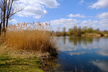 Sander Baggerseen im Naturschutzgebiet Mainaue bei Augsfeld, Landkreis Hassberge, Unterfranken, Franken, Bayern, Deutschland.