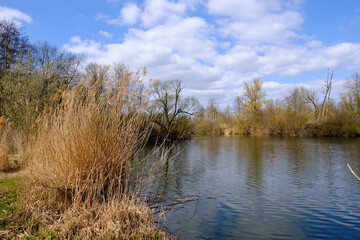 Sander Baggerseen im Naturschutzgebiet Mainaue bei Augsfeld, Landkreis Hassberge, Unterfranken, Franken, Bayern, Deutschland.