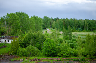 Fototapeta na wymiar landscape with trees