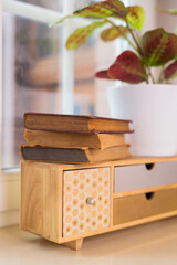 Objects on a window in a domestic room