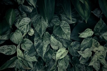 green leaves texture and background