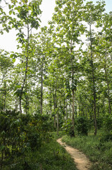 Vietnam by Vincent Kuyvenhoven