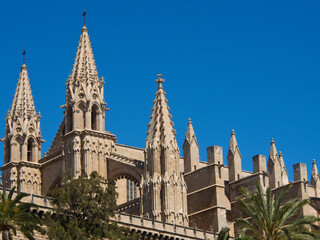 Fototapeta premium Palma de Mallorca