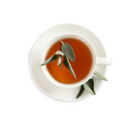 Cup of aromatic sage tea and fresh leaves isolated on white, top view