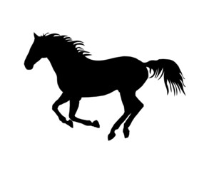Fototapeta na wymiar Simple horse icon with silhouette white background illustration